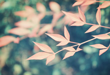 强队之间的较量让人期待不已，谁将称霸欧洲？