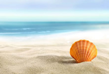 沃尔夫斯堡遭遇困难，需冷静应对形势