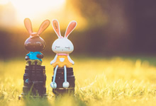 捷克队在场上展现自信