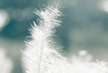 美国女足队员坚持训练备战国际比赛